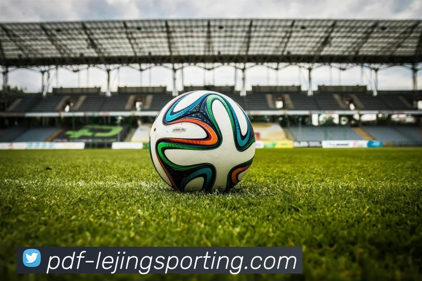 乐竞体育平台生态图